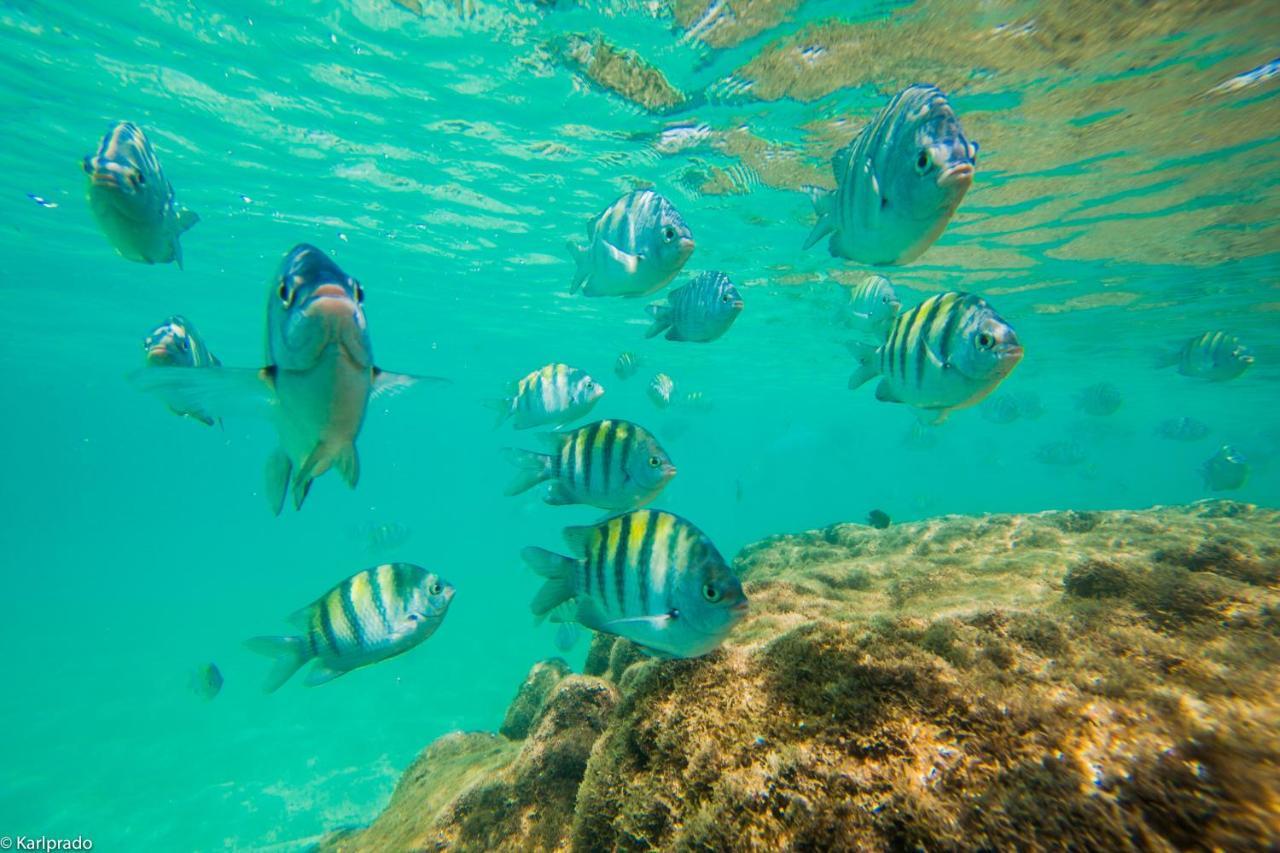 - Porto de Galinhas